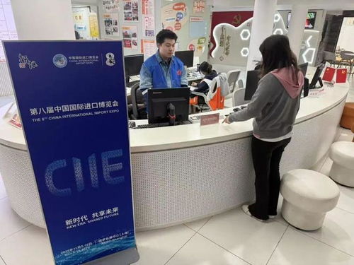 志愿暖流匯聚徐匯，全力護航進博盛會——信息咨詢服務助力進博會
