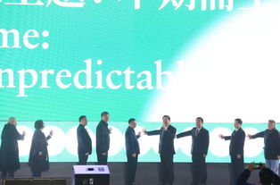 光影交匯，探見未來 2019連州國際攝影年展啟幕，觀照全球影像藝術生態(tài)