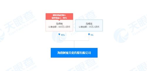 馬伊琍海南布局文化新賽道，成立文化傳媒公司拓展演出經紀版圖